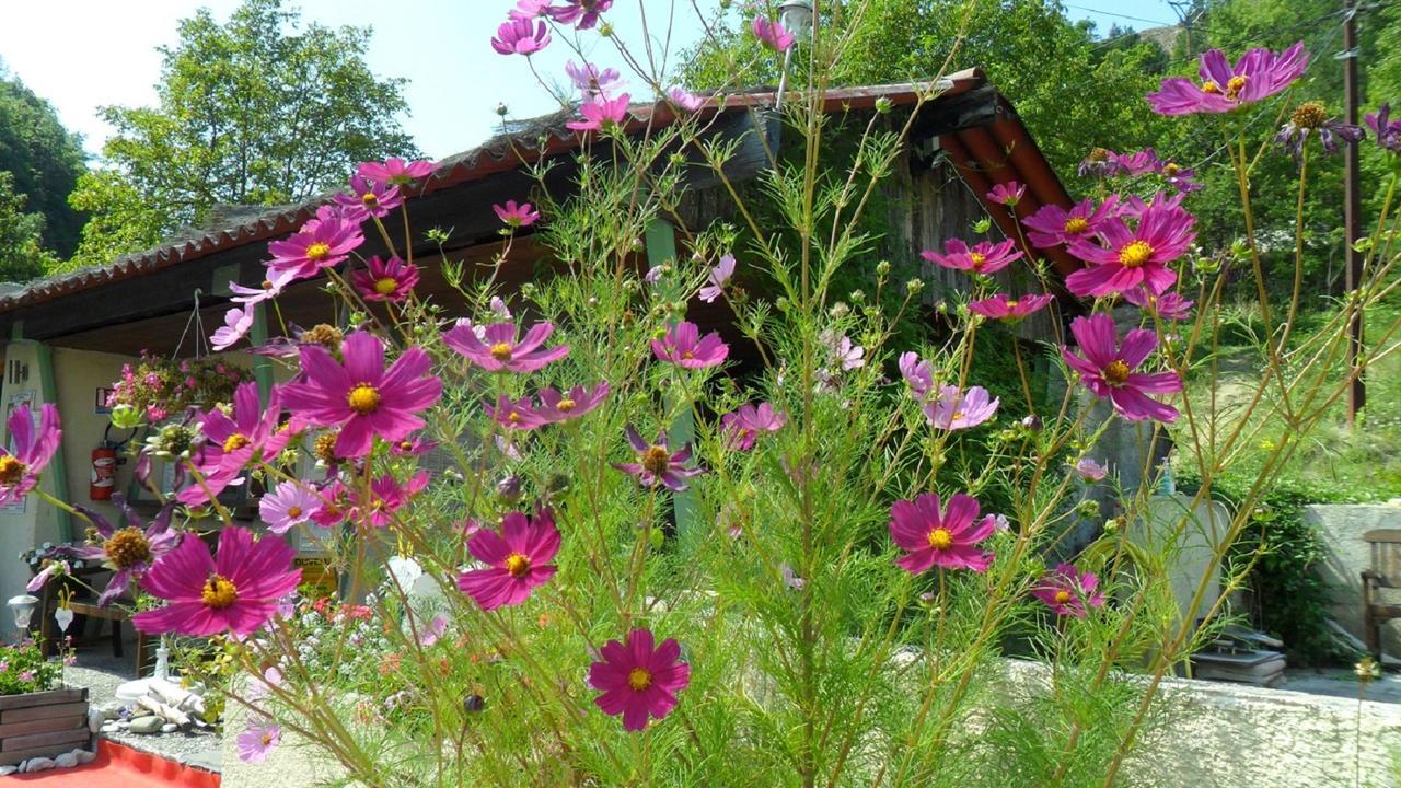 Camping Panoramique Du Verdon Castellane Exterior photo